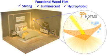 Посредством корректировки химической структуры свойства обычной древесины можно существенно изменять: сделать материал абсолютно прозрачным или генерировать с его помощью энергию